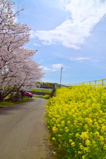 0A74AB06-892D-403C-A716-22A762159A09.jpg